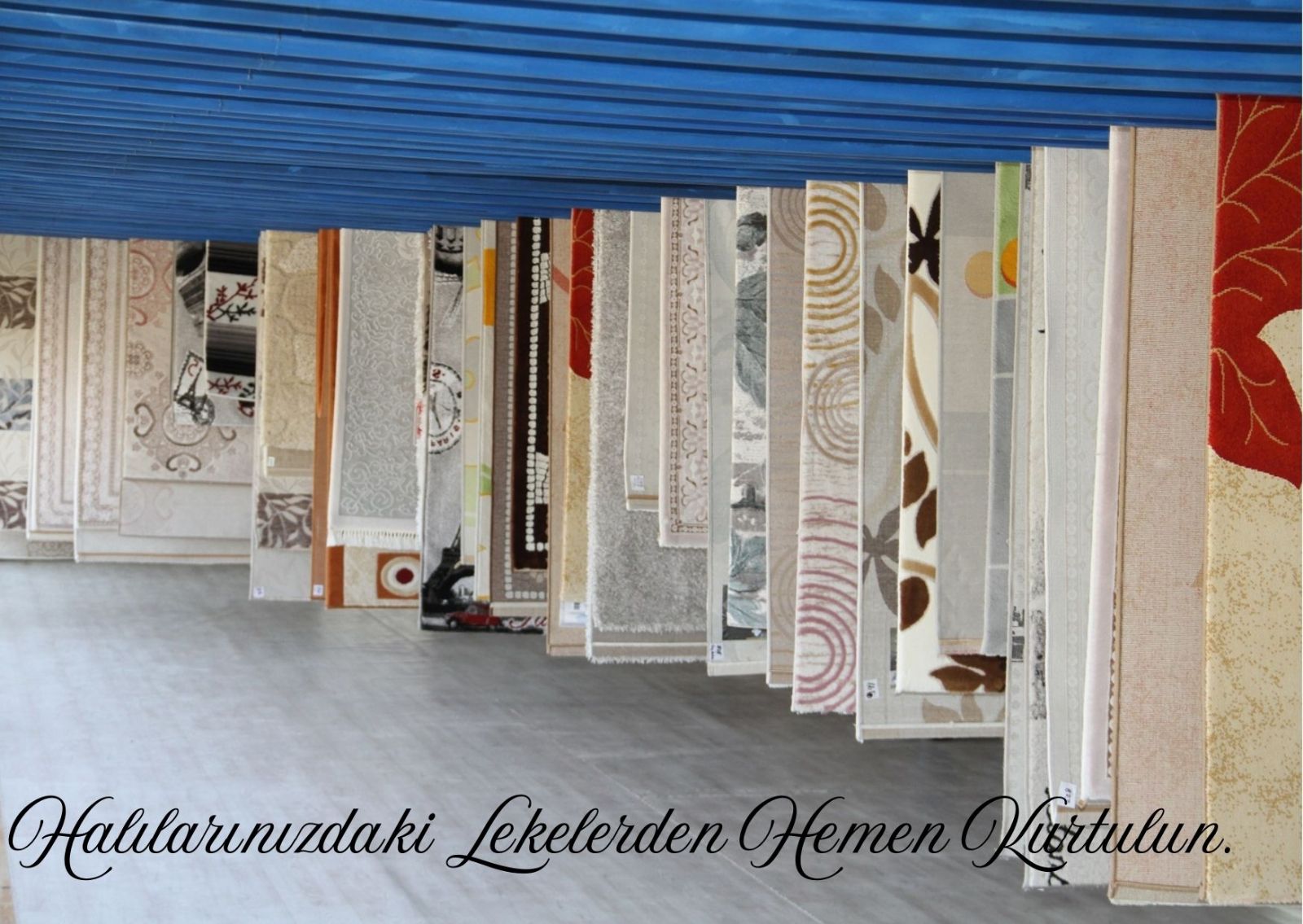 Merkezefendi Halı Yıkama